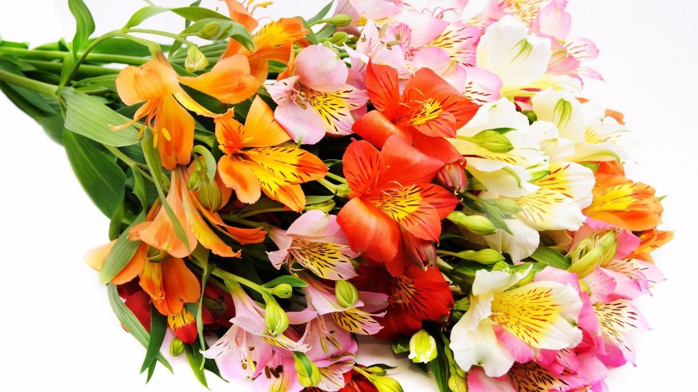 Flower Delivery In Gurgaon- Send fresh flowers Using BloomsVilla