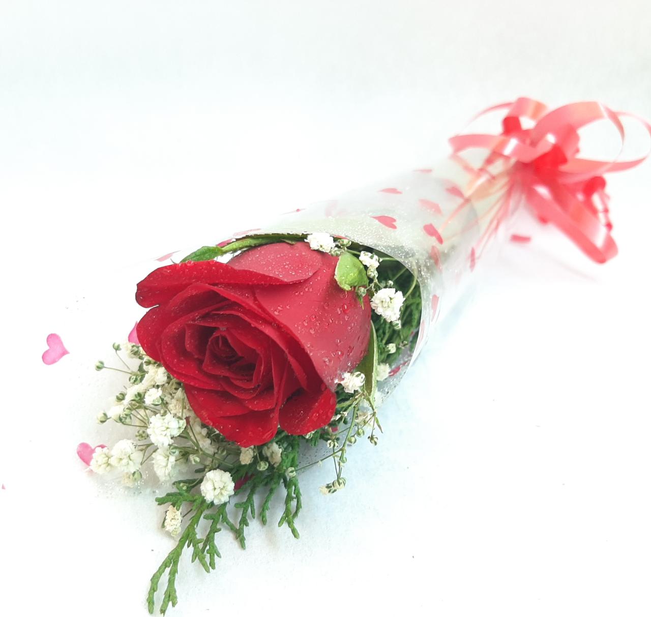 Order Rose day Flowers Same Day Delivery - MyFlowerTree
