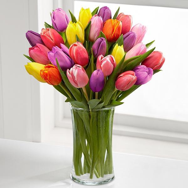 Mixed Tulips In Glass Vase– Bloomsvilla